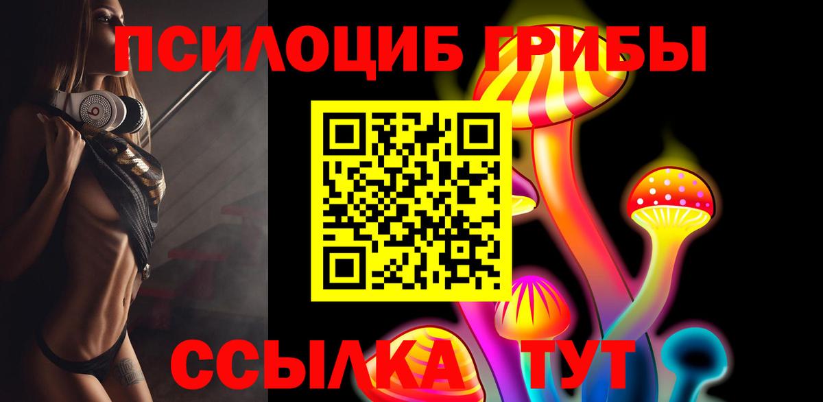 Галлюциногенные грибы Psilocybine cubensis  Псилоцибиновые грибы прущие грибы  Вход с VPN  Петрозаводск 