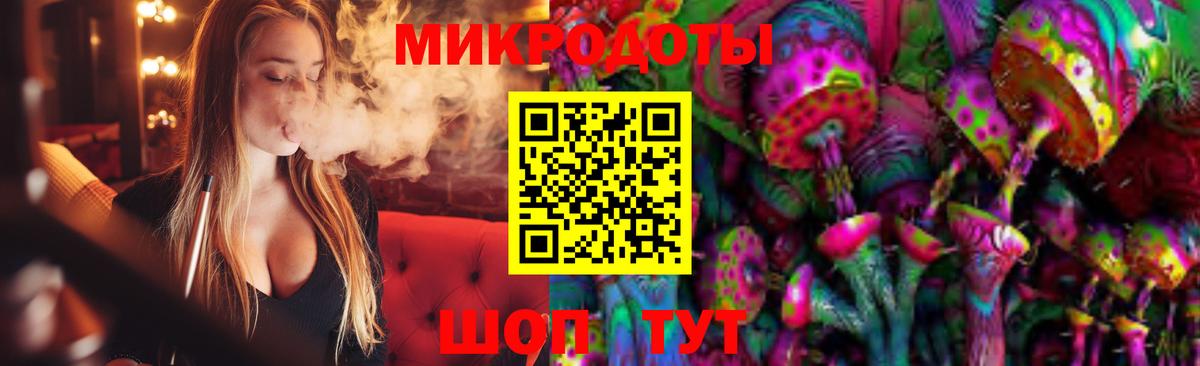 Псилоцибиновые грибы Psilocybine cubensis Петрозаводск