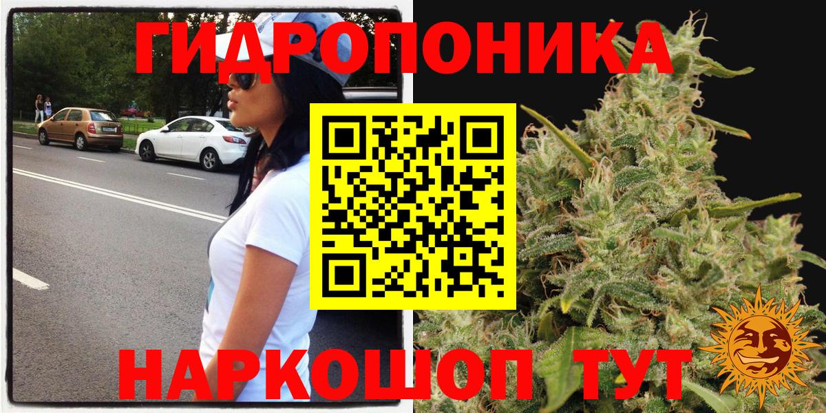 Бошки Шишки VHQ Петрозаводск